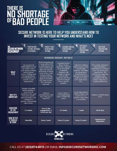 SNT_Pen-Test-Roadmap-2025_Page_1