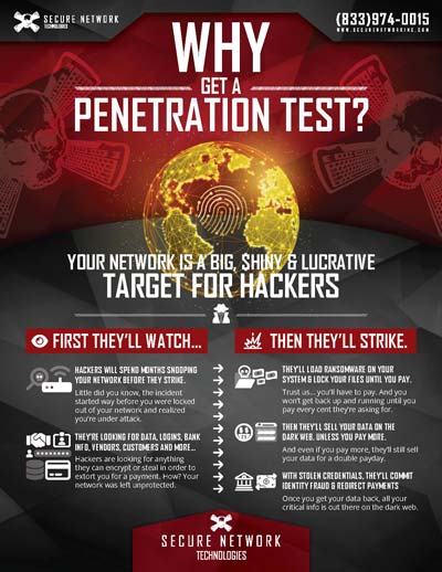 SNT_Why-Pen-Test_Page_1